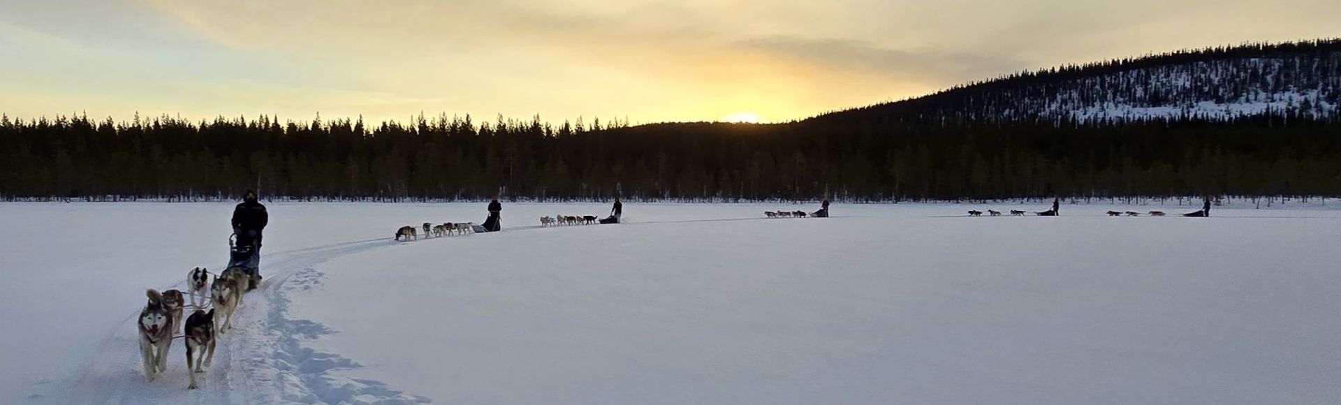 Incentive in Schwedisch Lappland: Ein Winterabenteuer der Extraklasse