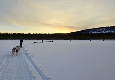 Incentive in Schwedisch Lappland: Ein Winterabenteuer der Extraklasse