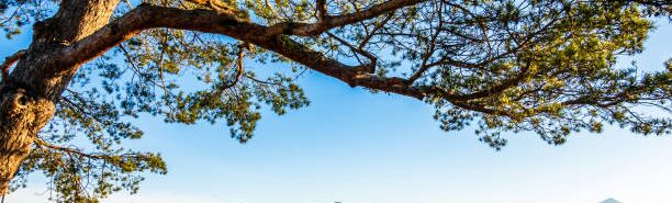 Destination Management Chiemsee