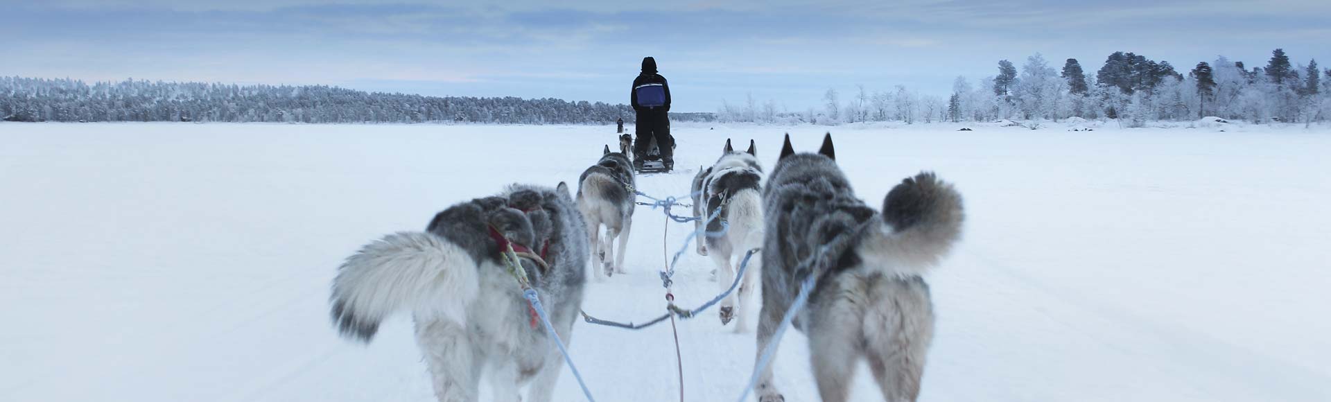 Incentive-Reise nach Lappland