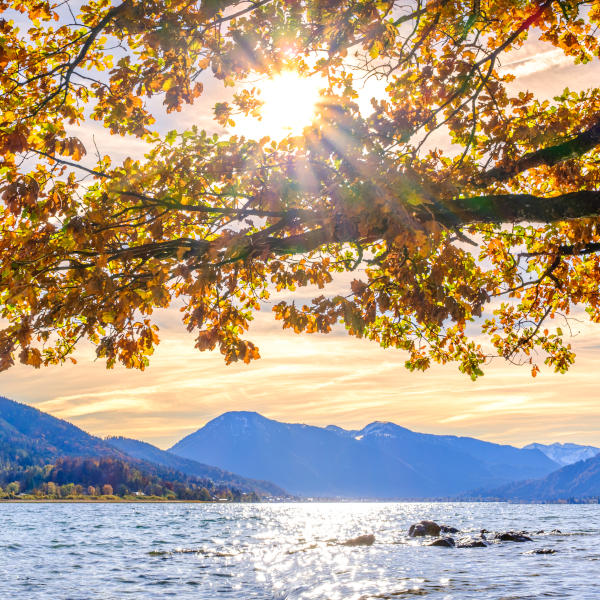 Destination Management Germany